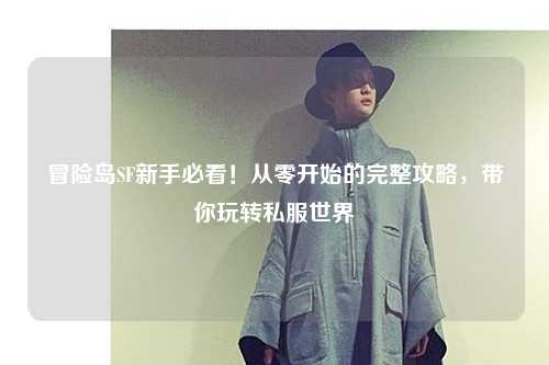 冒险岛SF新手必看！从零开始的完整攻略，带你玩转私服世界
