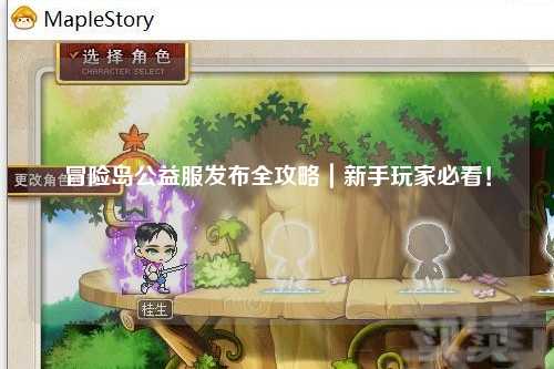 冒险岛公益服发布全攻略｜新手玩家必看！