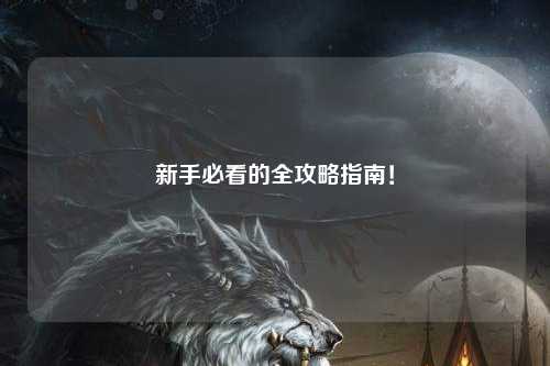 新手必看的全攻略指南！
