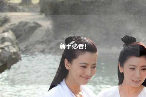 新手必看！