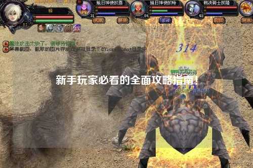 新手玩家必看的全面攻略指南！